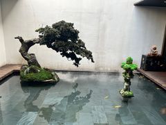 -觀芷隐轩