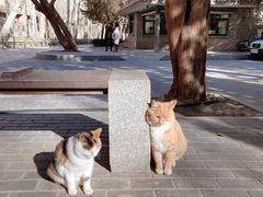 -敦煌莫高窟