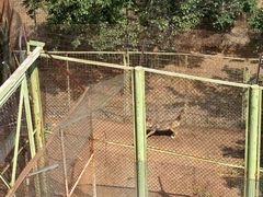 -青藏高原野生动物园