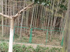 -九龙潭景区