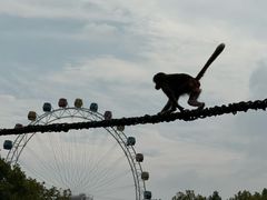 -上海野生动物园