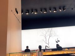 -BLACKSWAN黑天鹅(环球店)
