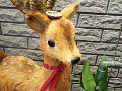 -骑鹅公社(南开大悦城店)