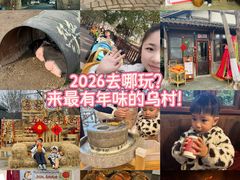 -乌村