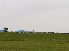 -御道口草原森林风景区