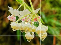 -中国科学院华南植物园