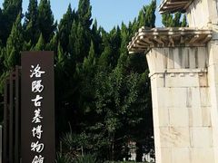 -洛阳古墓博物馆