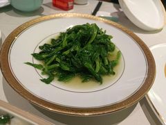 清炒高山豆苗-蝶园·装修中(BFC外滩金融中心店)