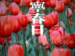 -大宁公园