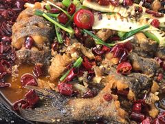 -老板恋上鱼(恒隆广场店)