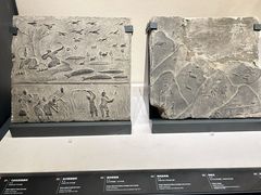 -四川大学博物馆