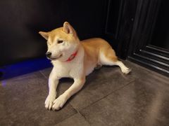 -瞳·实景密室逃脱(护国店)