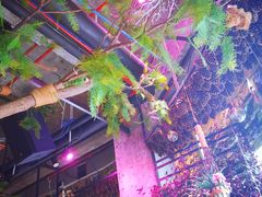-范设计花园餐酒咖·中西餐·咖啡厅·酒馆