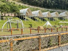 -江西阳明山国家森林公园