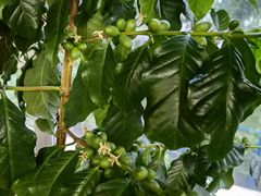 -民间瓦缸煨汤館(嵩山路店)