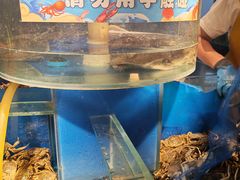 -奔海甄选·活鲜刺身铁板烧自助(太原里店)