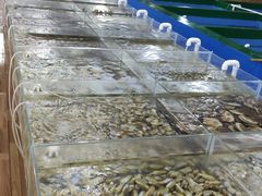 -阔澜蒸汽海鲜自助