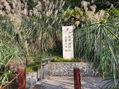 -重庆彩云湖湿地公园