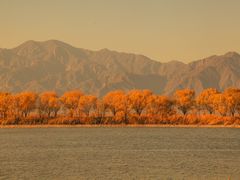 -野鸭湖国家湿地公园