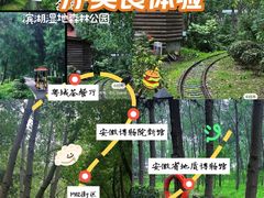 -合肥滨湖国家森林公园