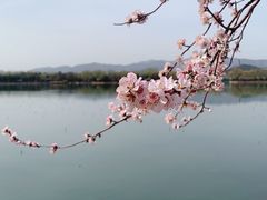 -颐和园