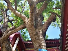 -仓山金山寺