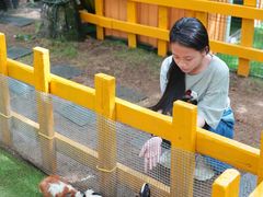 -三亚海棠湾喜来登度假酒店