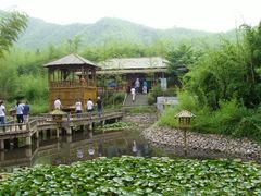 -天下银坑