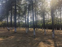 -艾溪湖湿地公园