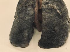 -生命奥秘博物馆
