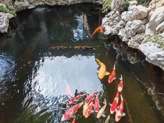 -鲤院·新中式美学·庭院餐厅(夫子庙店)