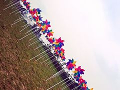 -紫颐香薰山谷景区