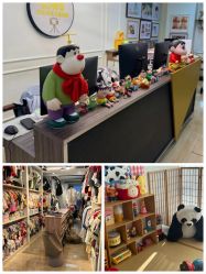 -可乐大王自然光儿童摄影(园区店)