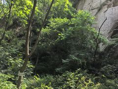 -大岭沟猕猴桃谷风景区