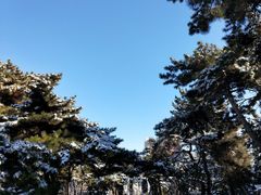 -沈阳药科大学