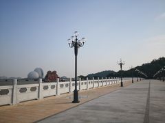 -野狸岛