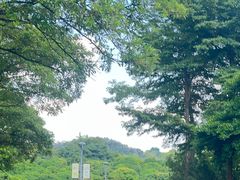 -东莞植物园
