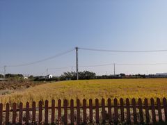 -七的湖·晚芳亭·阳澄湖农家菜·大闸蟹(莲花岛店)