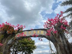 -天适樱花悠乐园