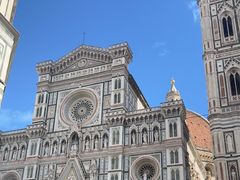 -圣母百花大教堂穹顶