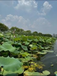 -剑鱼皮划艇俱乐部(石湖基地)