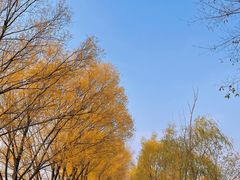 -野鸭湖国家湿地公园