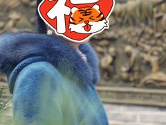 -苏家巷36号公馆