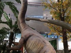 -湖南省地质博物馆