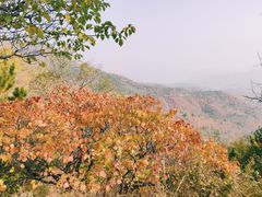 -百里山水画廊乌龙峡谷