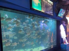 -烟台海昌鲸鲨海洋公园