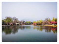 -国家植物园