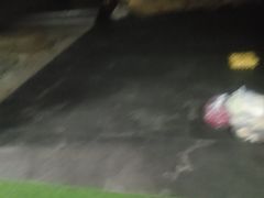 -添彩臻宴