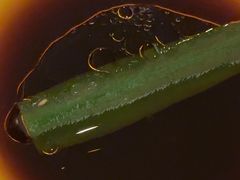 -粤尚腾香居中餐厅(首都机场希尔顿店)