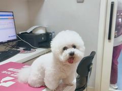 -全心全意动物诊疗中心医院(北苑店)